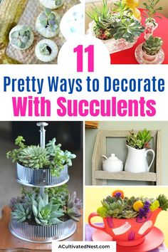 the top ten pretty ways to decorate with succulents