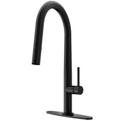 the black faucet is attached to the sink and has an adjustable goose head