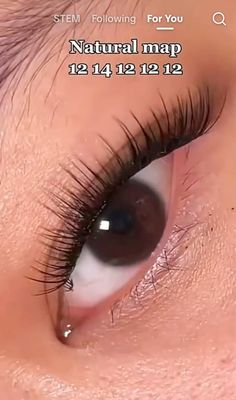 Eyelash Clusters Natural, Eyelash Extension On Hooded Eyes, Lash Cluster Map Short, Lash Map Natural Clusters, Last Cluster Map, Small Lash Map, Natural Lashes Map, Lash Number Guide