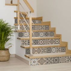 a potted plant sitting on top of a wooden stair case next to a set of stairs