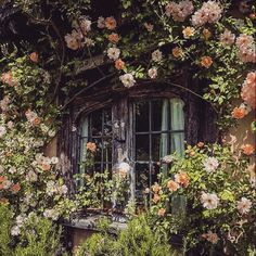 an old window surrounded by flowers and greenery