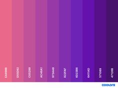 an image of the color purple and pink