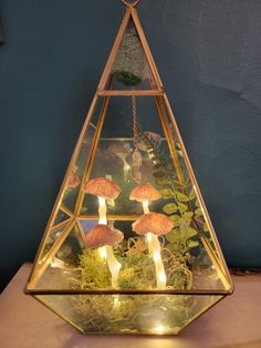 a glass terrarium with mushrooms and moss in the bottom is lit up by candles