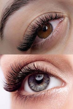 Russian Volume Lashes- Eyebrowsbar.com Russian Volume Lashes, Russian Lashes, Volume Lashes, Eyelashes, Lashes