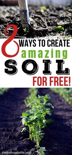 an image of some plants growing out of the ground with text overlay that reads 8 ways to create amazing soil for free