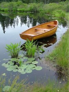 a small boat floating on top of a body of water next to a lush green field