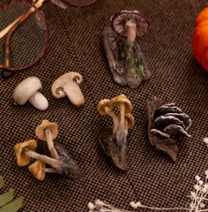 several mushrooms and other items on a table next to an orange pumpkin, eyeglasses