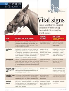 a brochure with a horse on it's front page and the words, vital signs