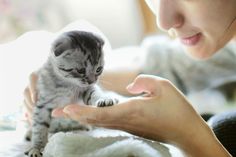 a woman holding a small kitten in her hands