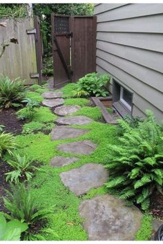 a garden with green grass and stepping stones