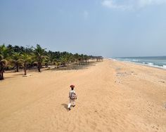 a person walking on the beach with palm trees