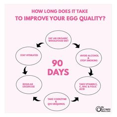 Mysurrogatemom helps women to grow and mature their own eggs, starting from the day they were born. With Mysurrogatemom, you can grow your future children inside an artificial uterus.This is a very basic guide on how you can improve your egg quality. No magic, no supplements, no diet changes. #mysurrogatemom #surrogacy #eggdonors #eggdonationprocess #eggdonordatabase #surrogates #livescreated #babybump #pregnancy #happyfamily #familybuilding #eggdonationrocks How To Improve Egg Quality Fertility, Improve Egg Quality Fertility, Improve Egg Quality, Egg Retrieval, Body Temple, Fertility Nutrition, Diet Changes, Egg Quality