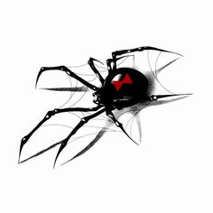 a black and red spider on a white background