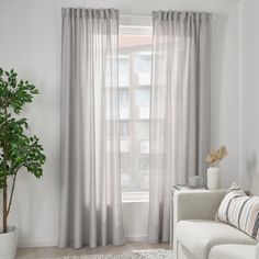 a living room with a white couch and large window covered in sheer curtaining, next to a potted plant