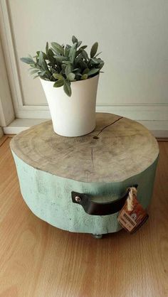 a potted plant sitting on top of a wooden table