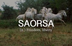 there are many horses running in the field with words above them that read sabora