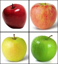 four different types of apples are shown in the same square pattern, each with an apple's bite missing