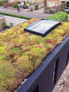 a green roof with plants growing on it