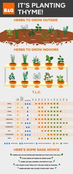 an info sheet describing the different types of plants and how they are grown in pots