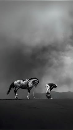 two horses standing on top of a field under a cloudy sky