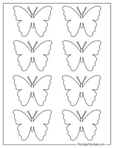 four butterflies that have different shapes and sizes