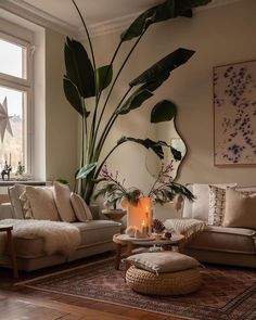 a living room filled with furniture and a large plant