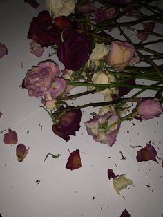 purple and white roses are scattered on the floor next to each other, with petals sprinkled all over them