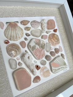 there are shells and seashells in this shadow box