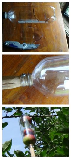 an apple is in a glass bottle on a wooden table next to leaves and branches