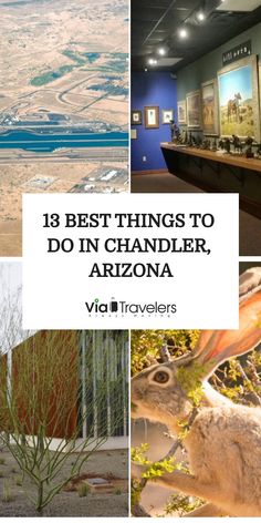 13 best things to do in Chandler, Arizona, featuring images of scenic landscapes, a museum exhibit, a saguaros cactus, and a jackrabbit. Chandler Arizona Things To Do, Arizona Food, Chandler Arizona, Chandler Az, Brunch Spots, Girl Day, Travel Gear, Girls Trip