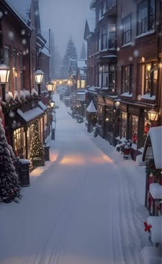 a snowy street lined with buildings and christmas lights