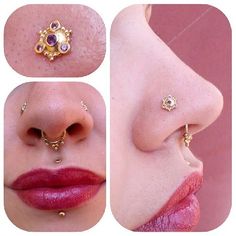 the nose is adorned with gold jewelry and piercings on it's sides, including an earring