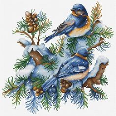 two blue birds sitting on top of a tree branch with pine cones in the snow