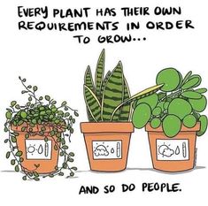 two potted plants with the words, every plant has their own requirements in order to grow and do people