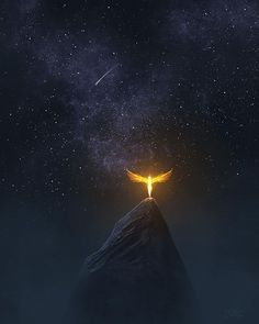 a bird flying over a mountain under a night sky