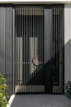 an open door with vertical slats on the outside and in between it is a potted plant