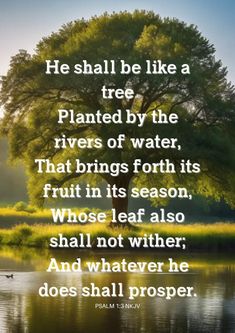 a tree with the quote he shall be like a tree planted by the rivers of water, that brings forth its fruit in its season whose leaf also shall not