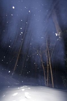 a snowboarder is going down a snowy hill in the woods at night time