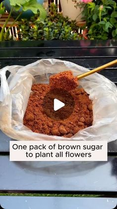 a bowl filled with brown sugar sitting on top of a wooden table next to potted plants