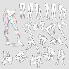 an image of a man's legs and leg muscles in various positions, including the lower