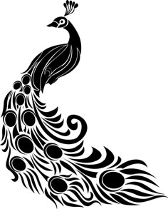 a black and white drawing of a peacock with feathers on it's tail,