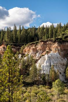 the trees are growing on the side of the mountain and there is no image here to provide a caption for