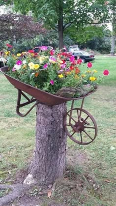 a wheelbarrow filled with flowers sitting on the side of a tree in a park