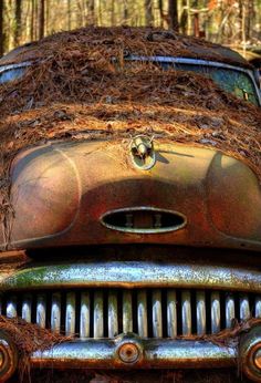 an old rusted out car in the woods