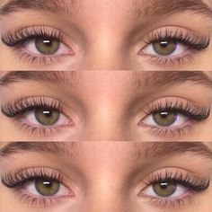 Classic Lashes Almond Eyes, Mink Cat Eye Lash Extensions, Wispy Cat Eye Lash Extensions Natural, Lifted Eye Lash Extensions, Textured Cat Eye Lash Extensions, Classic Kitten Eye Lash Extensions, Doll Cat Eye Lashes, Classic Eye Lashes Extensions, Last Extensions Natural