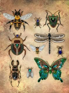 six different types of bugs and insects on a piece of paper with gold, green, blue