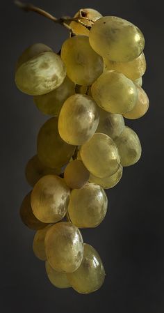 a bunch of green grapes hanging from a branch