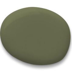 a green round object on a white background