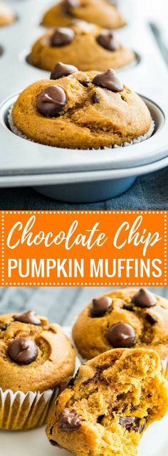 chocolate chip pumpkin muffins in a muffin pan with text overlay that reads chocolate chip pumpkin muffins