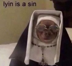 a small dog wearing glasses and a nun outfit is in a box with the caption lynn is a sin